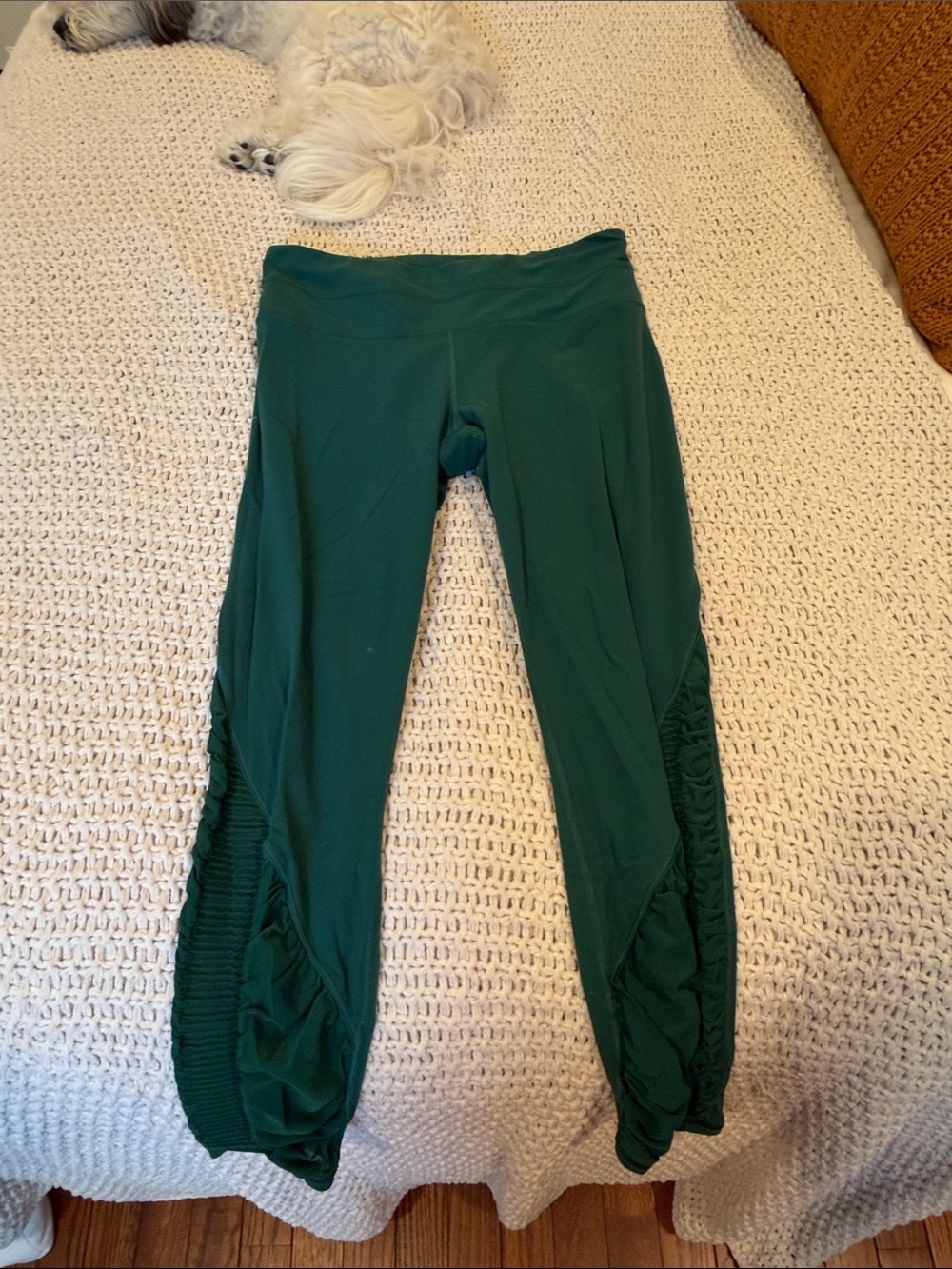 Women’s size medium emerald green leggings